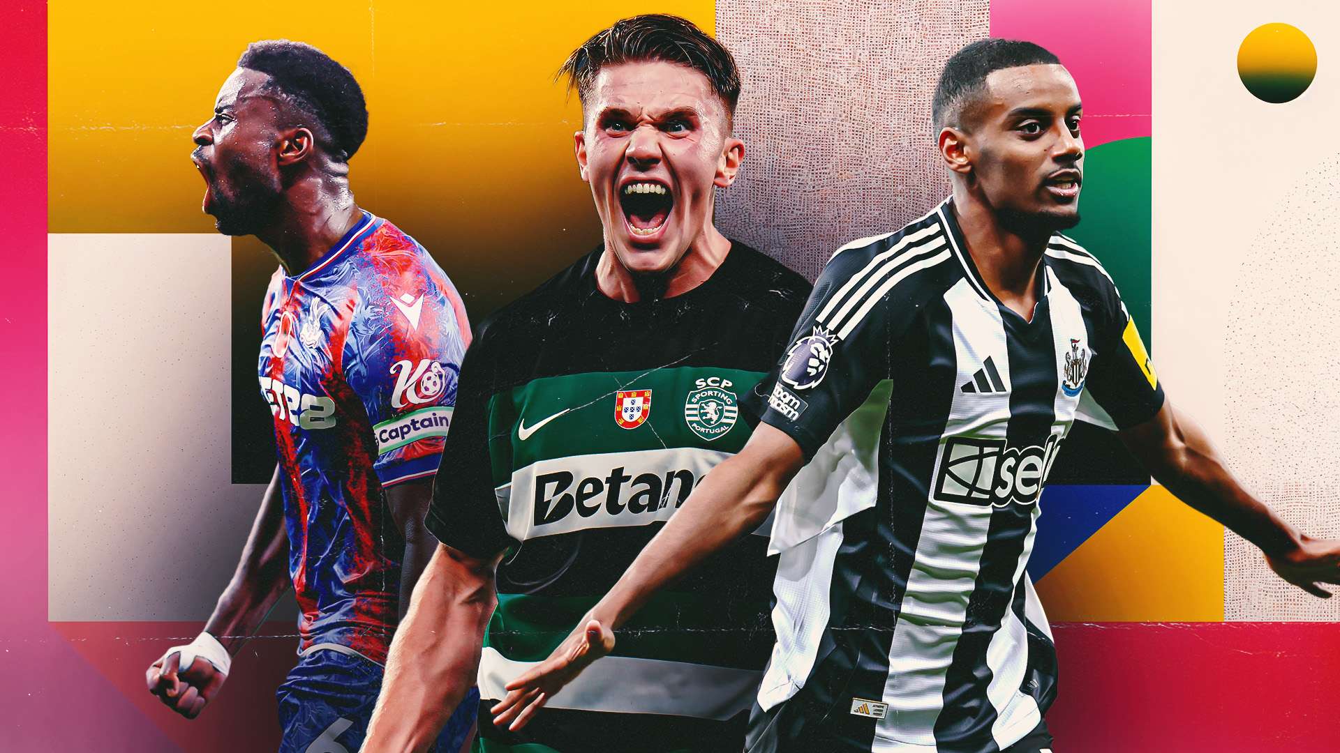 有了更多的 有了更多的